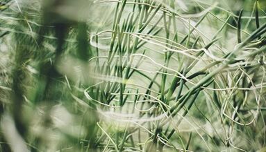 Jak zrobić amulet na szczęście własnymi rękami