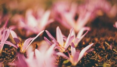 jak zrobić amulet na szczęście własnymi rękami